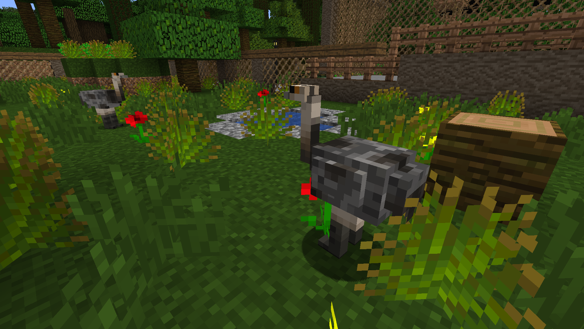 Thumbnail Greater Rhea