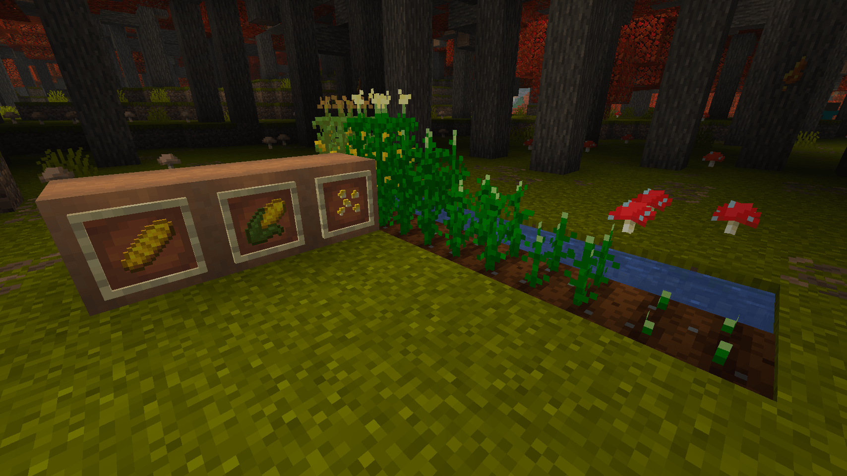 Corn.png