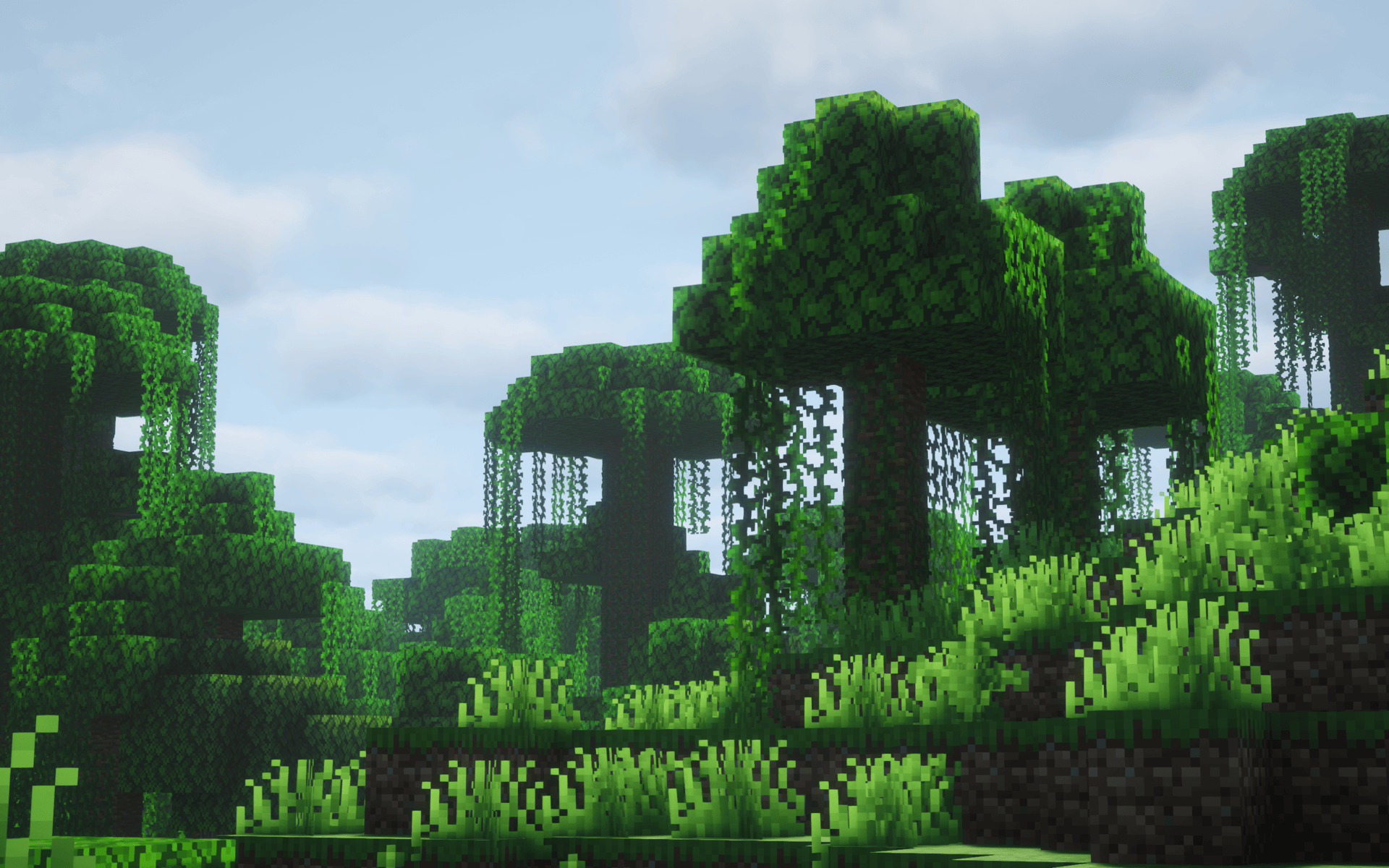 jungle.01