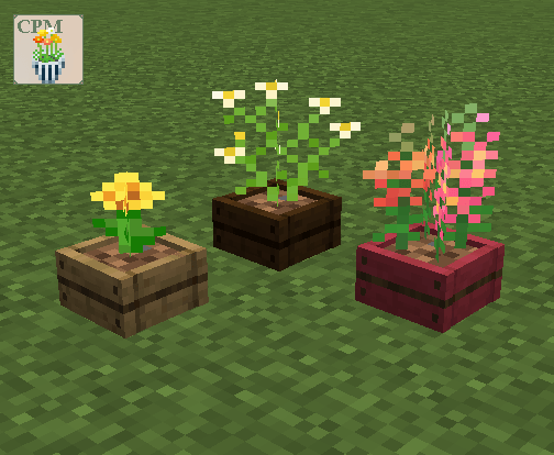 Thumbnail 2025-10-25_15.45.54.png
