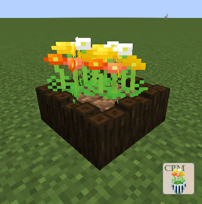 Thumbnail 2025-10-20_23.00.34.png