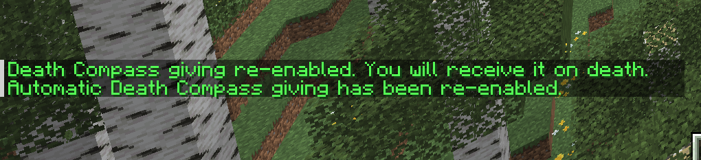 Thumbnail /permremovecompass command ran again
This is an info message saying that the automatic compass giving system has been re-enabled for the user. This can be triggered by running /permremovecompass if the system has been deactivated beforehand