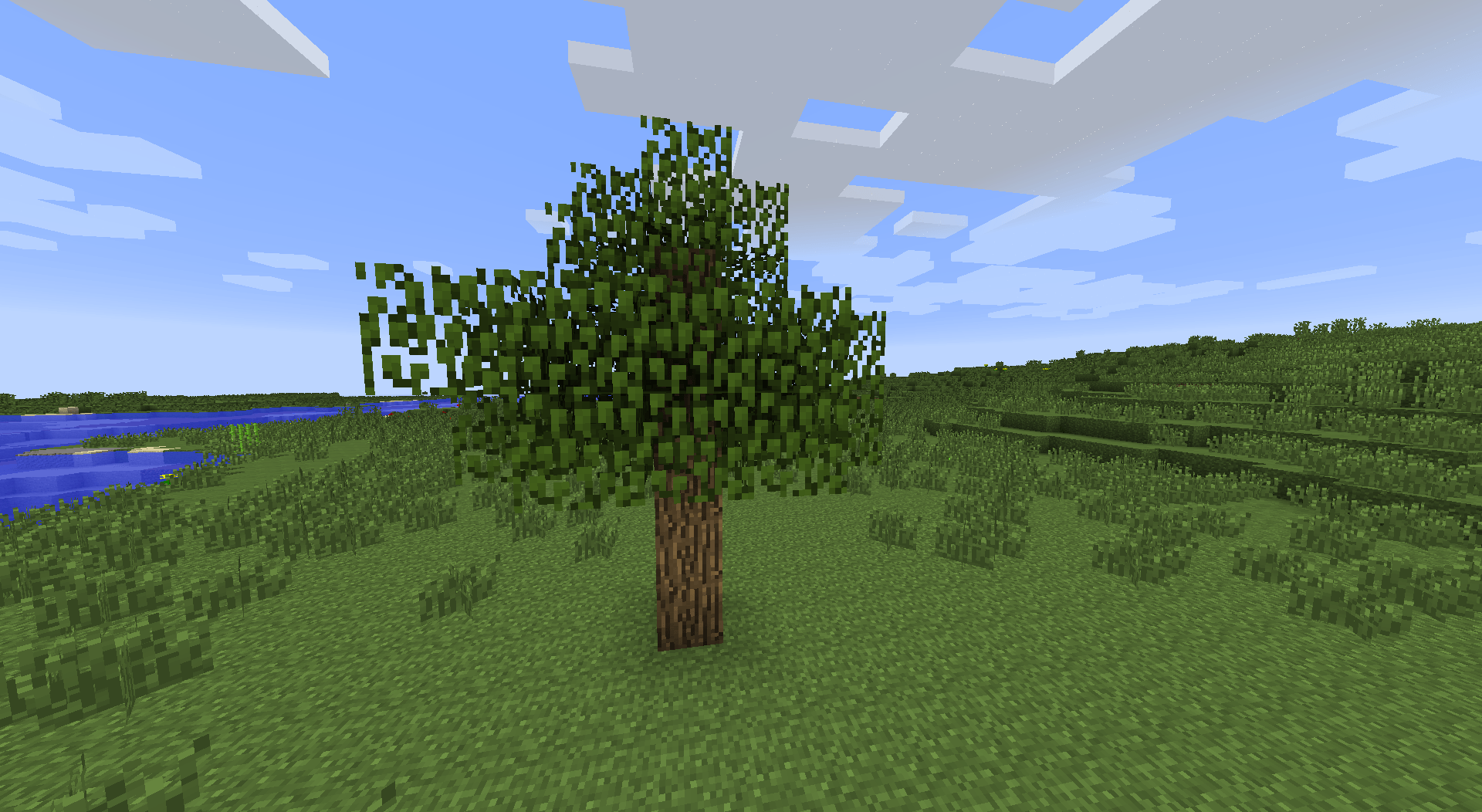 screenshot thumbnail
