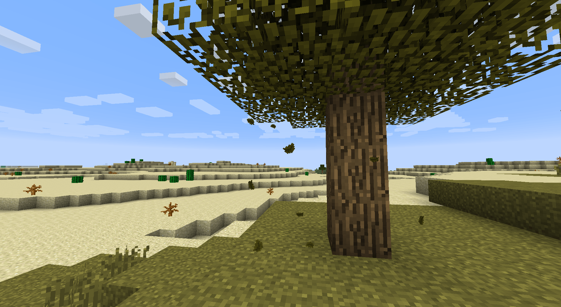 screenshot thumbnail