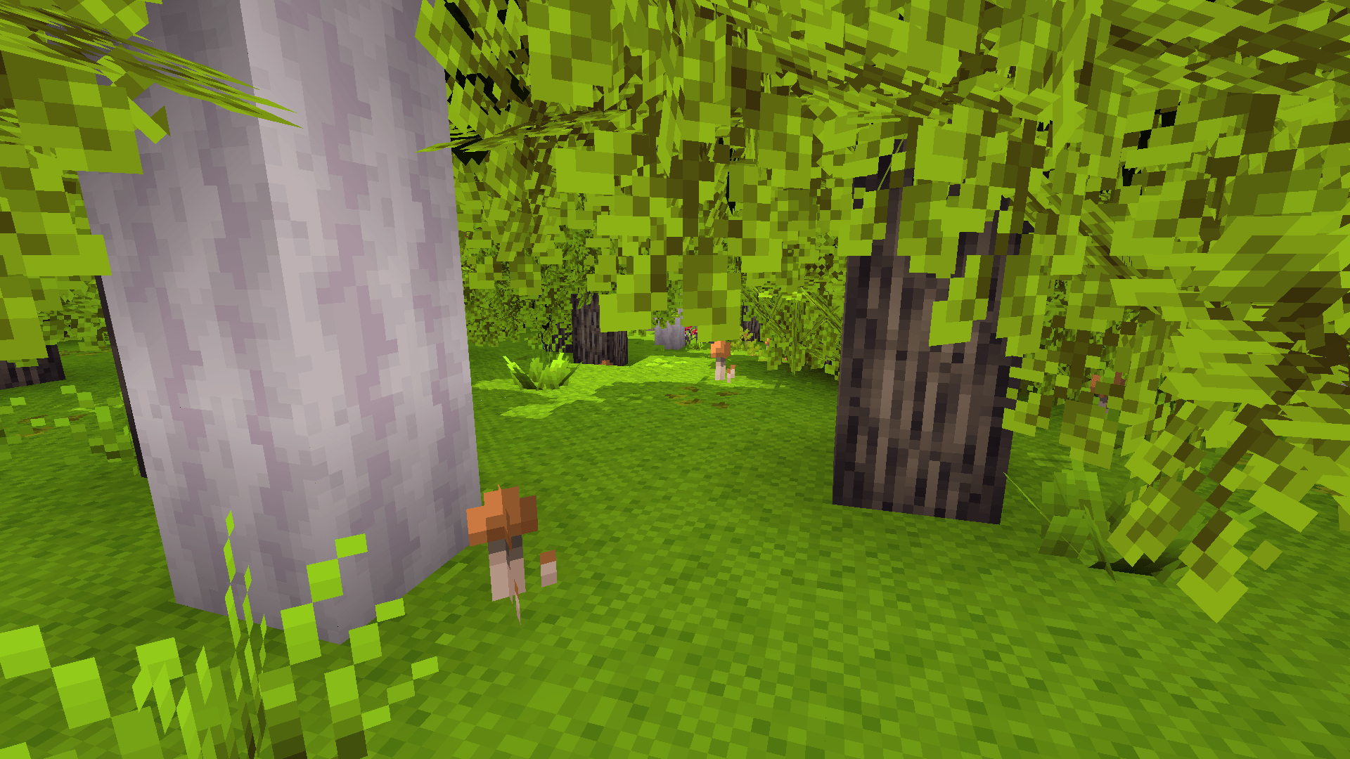 Thumbnail 2025-11-21_00.16.12.png
