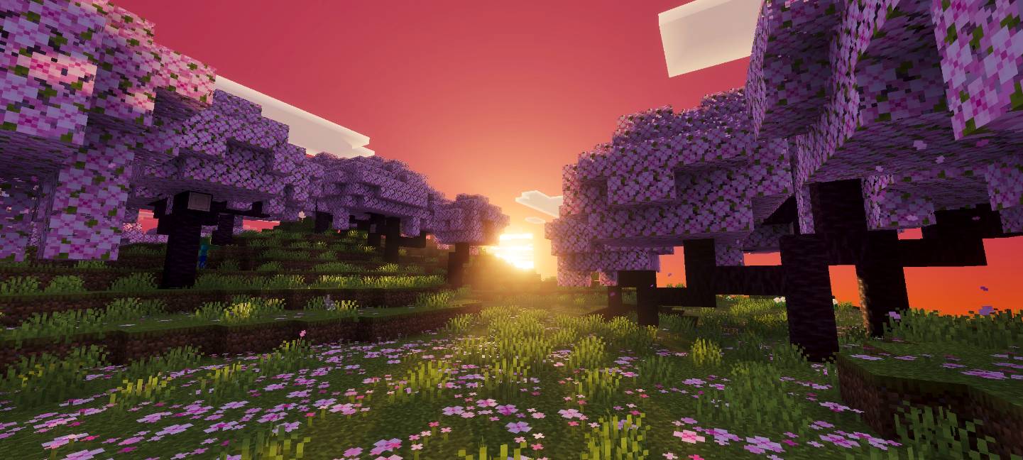 Thumbnail sleek-visuals- 14.jpg