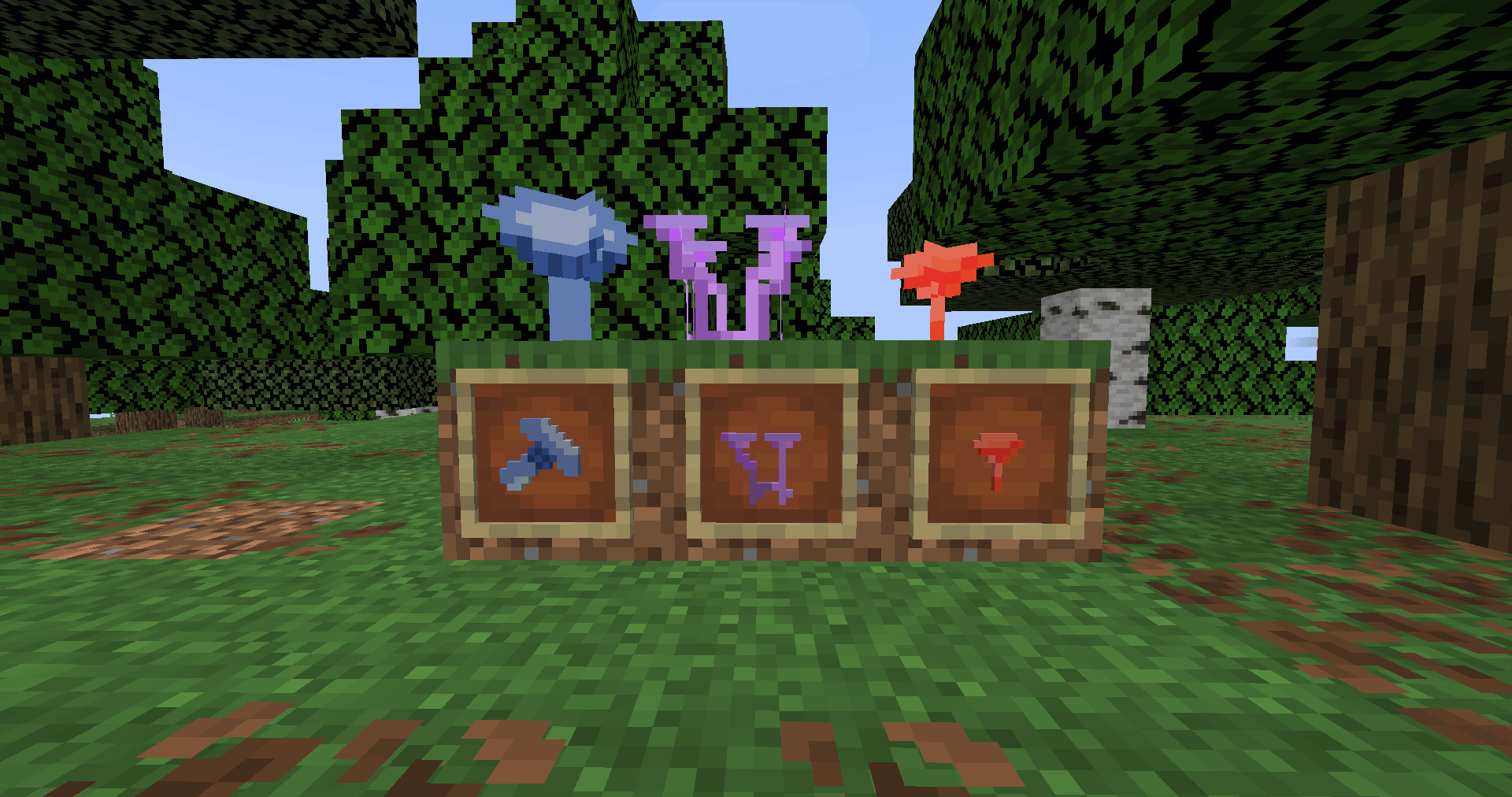 These are all of the mushrooms available in the version 0.1 of the mod.