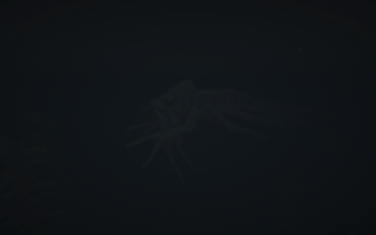 Thumbnail 2025-11-25_14.22.19.png