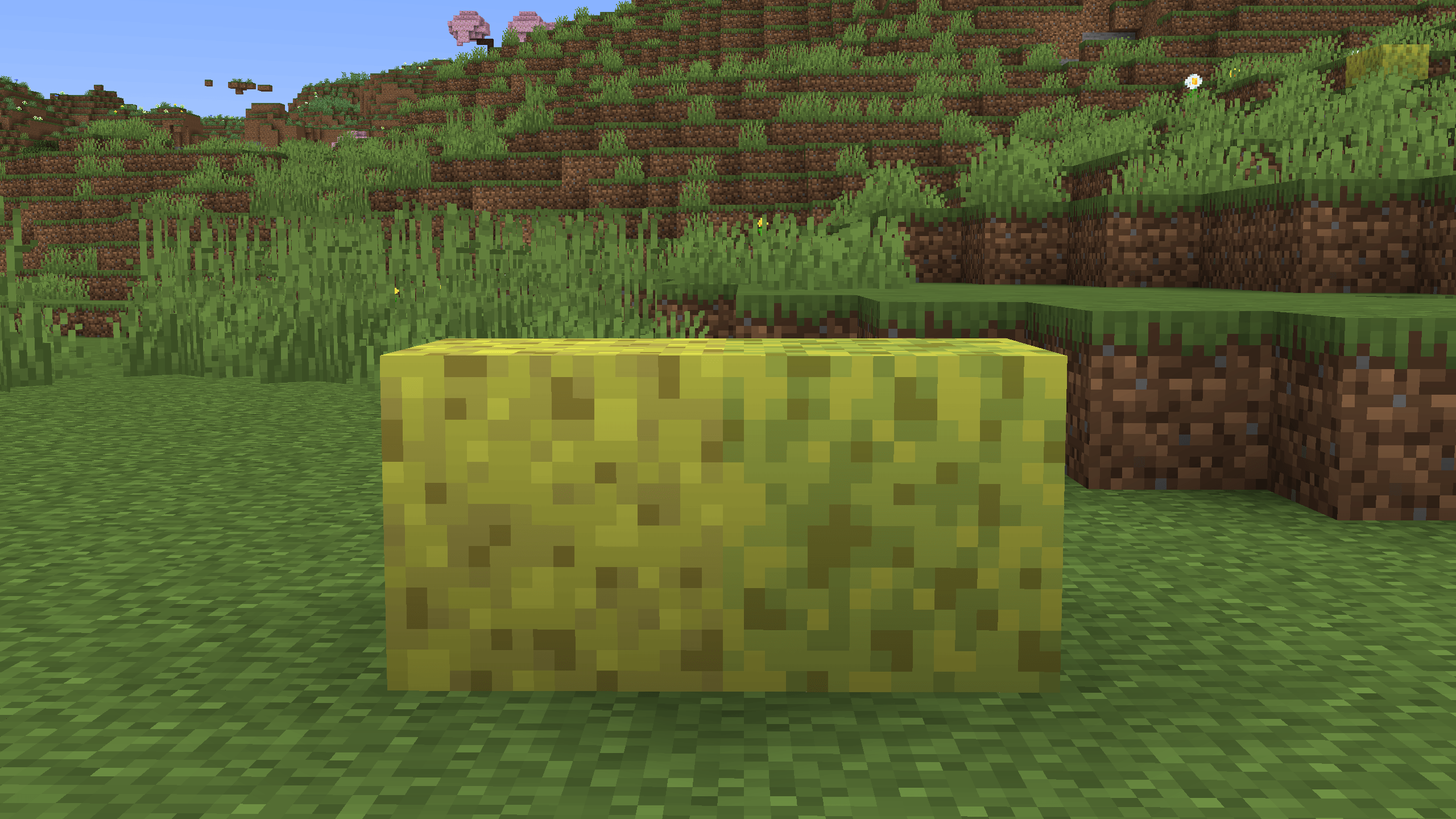 before.png