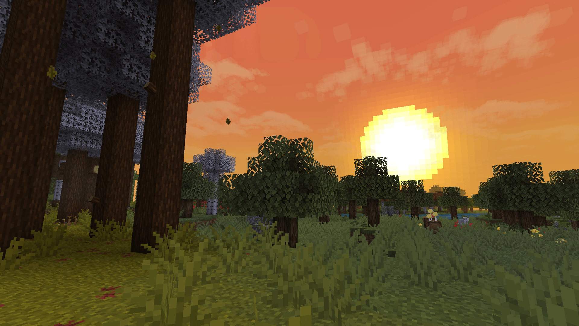 Sun: no shaders