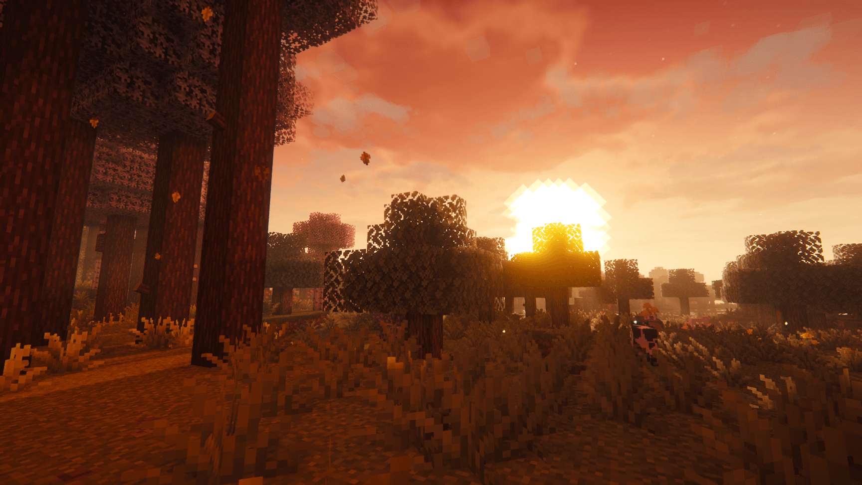 Sun: Complementary Reimagined shaders