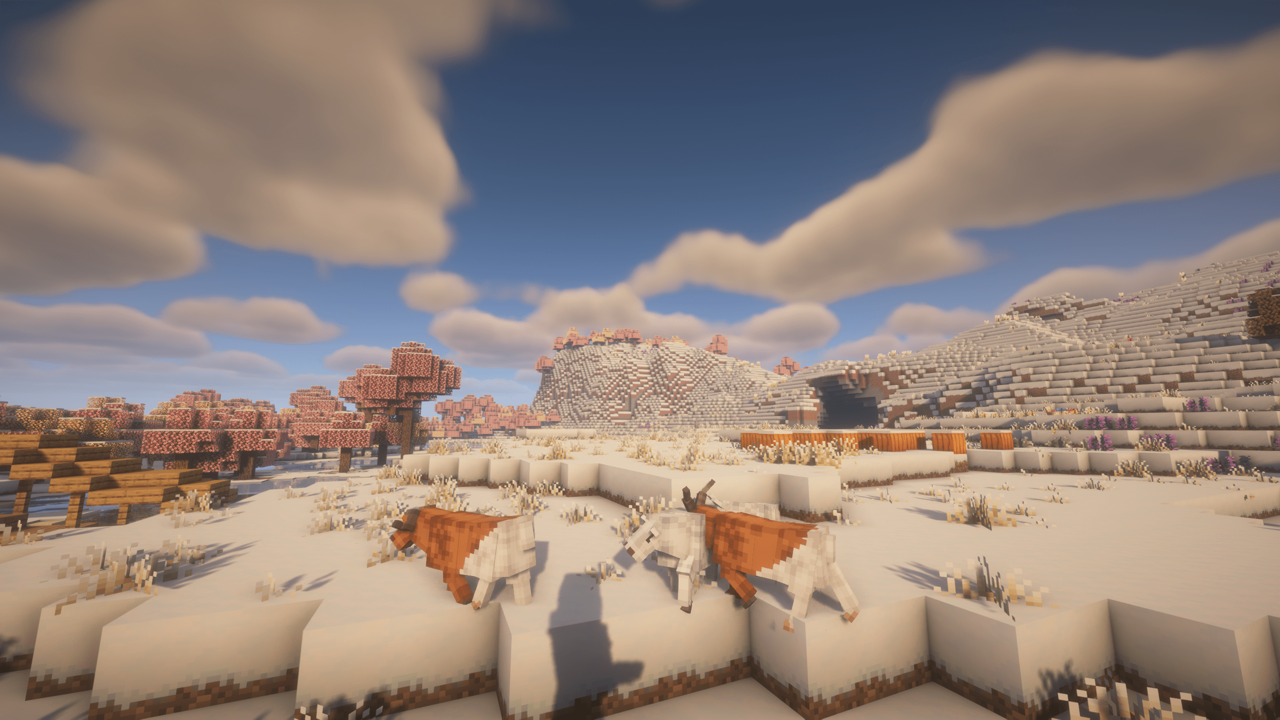 screenshot thumbnail