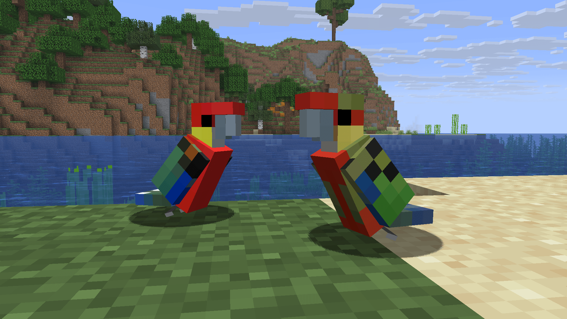 A Pair of Western Rosellas