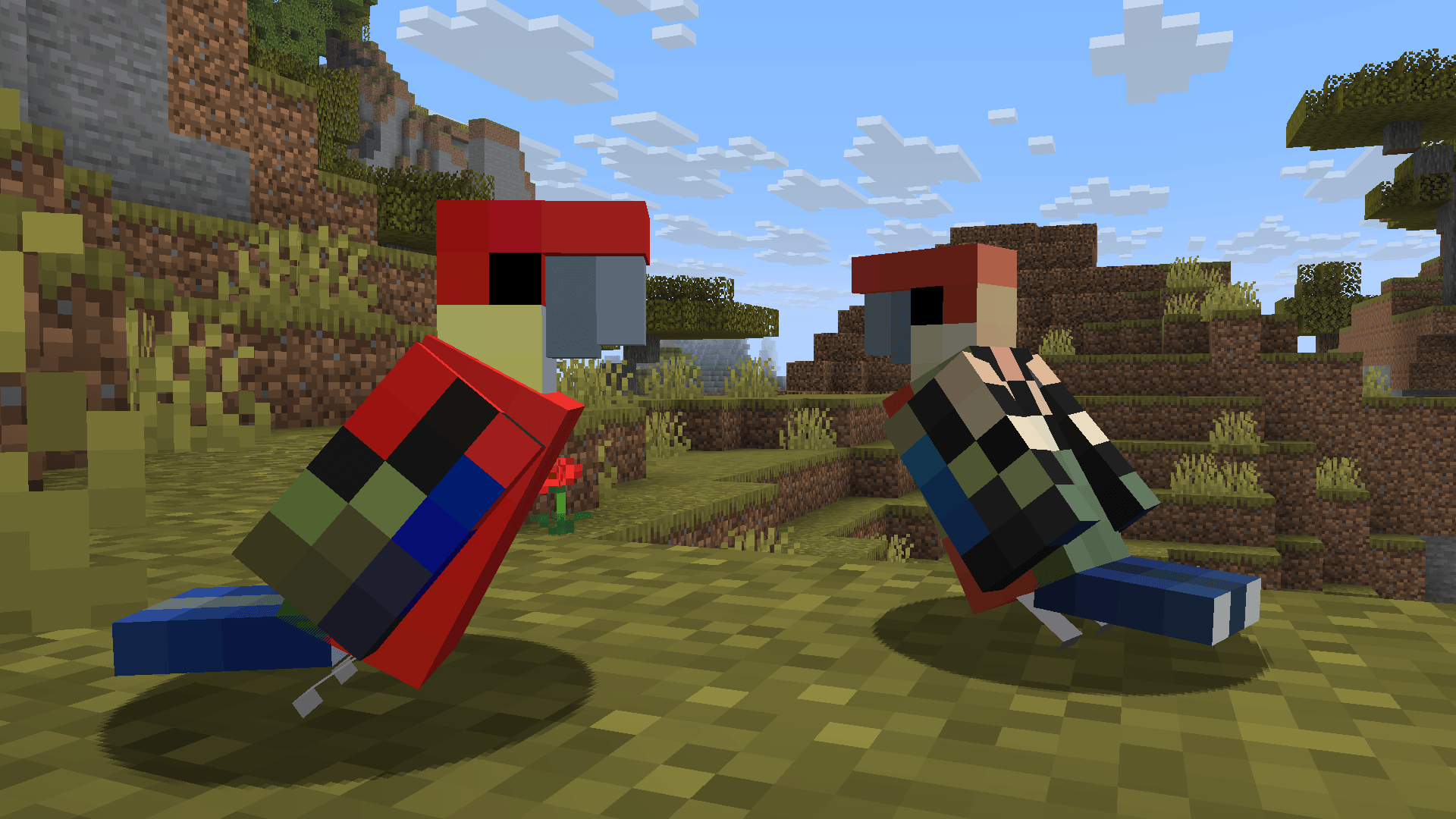 A pair of the Xanthogenys Western Rosellas. These are a sub-species of the main Western Rosellas, differing with paler colours, dark blue tails and a red-orange backs. The Xanthogenys reside further inland.