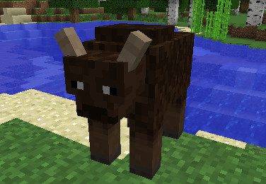 Thumbnail Wild Cow