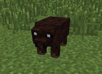 Thumbnail Wild Pig