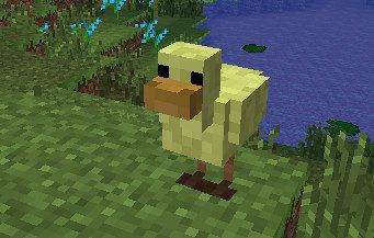 Thumbnail Wild Chicken