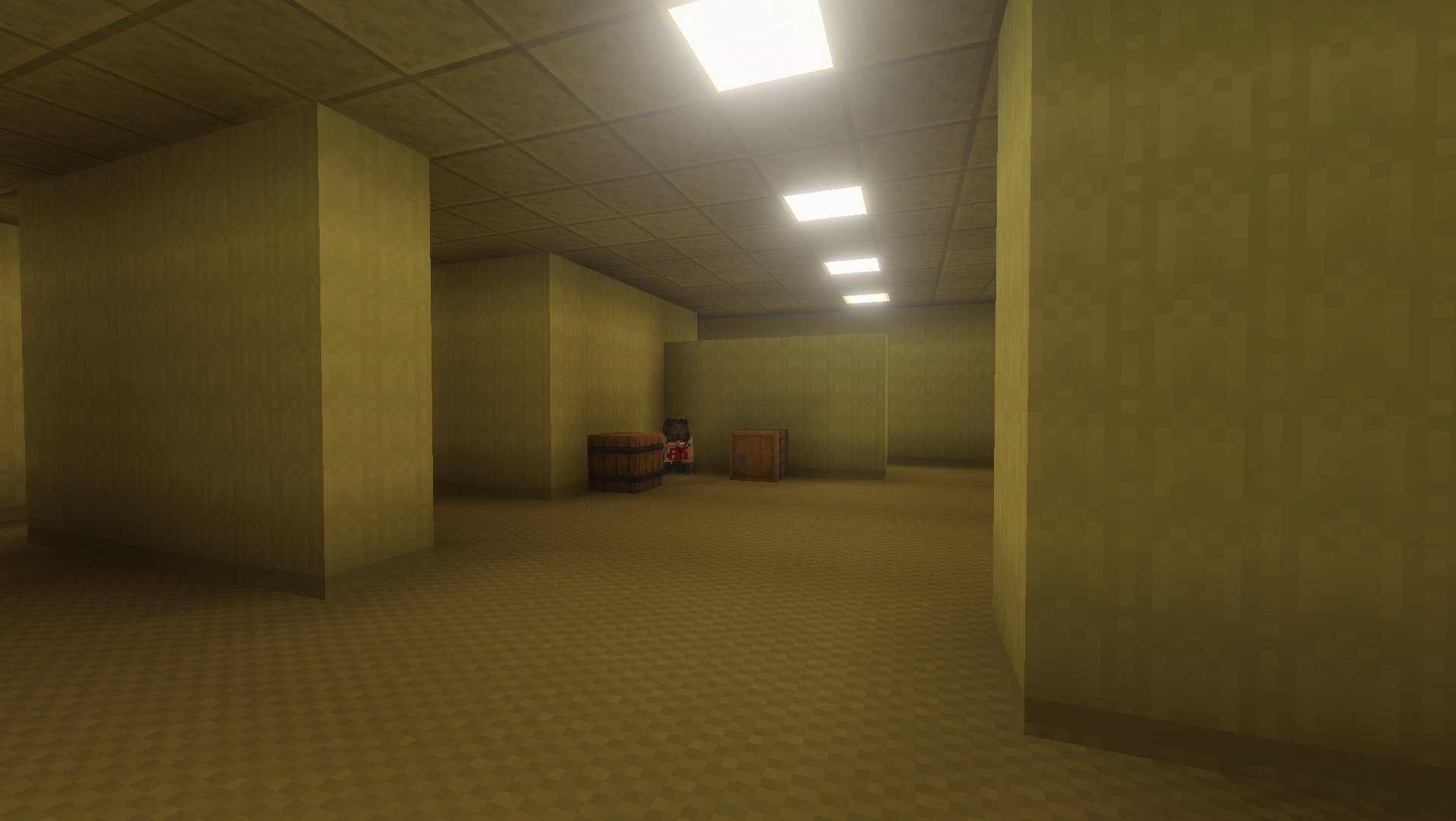 Thumbnail A Picture of Level 0 from Birdboy's Backrooms