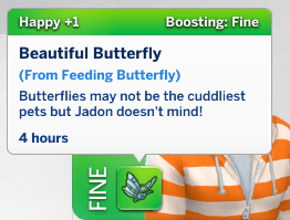 Thumbnail The buff for feeding butterflies.