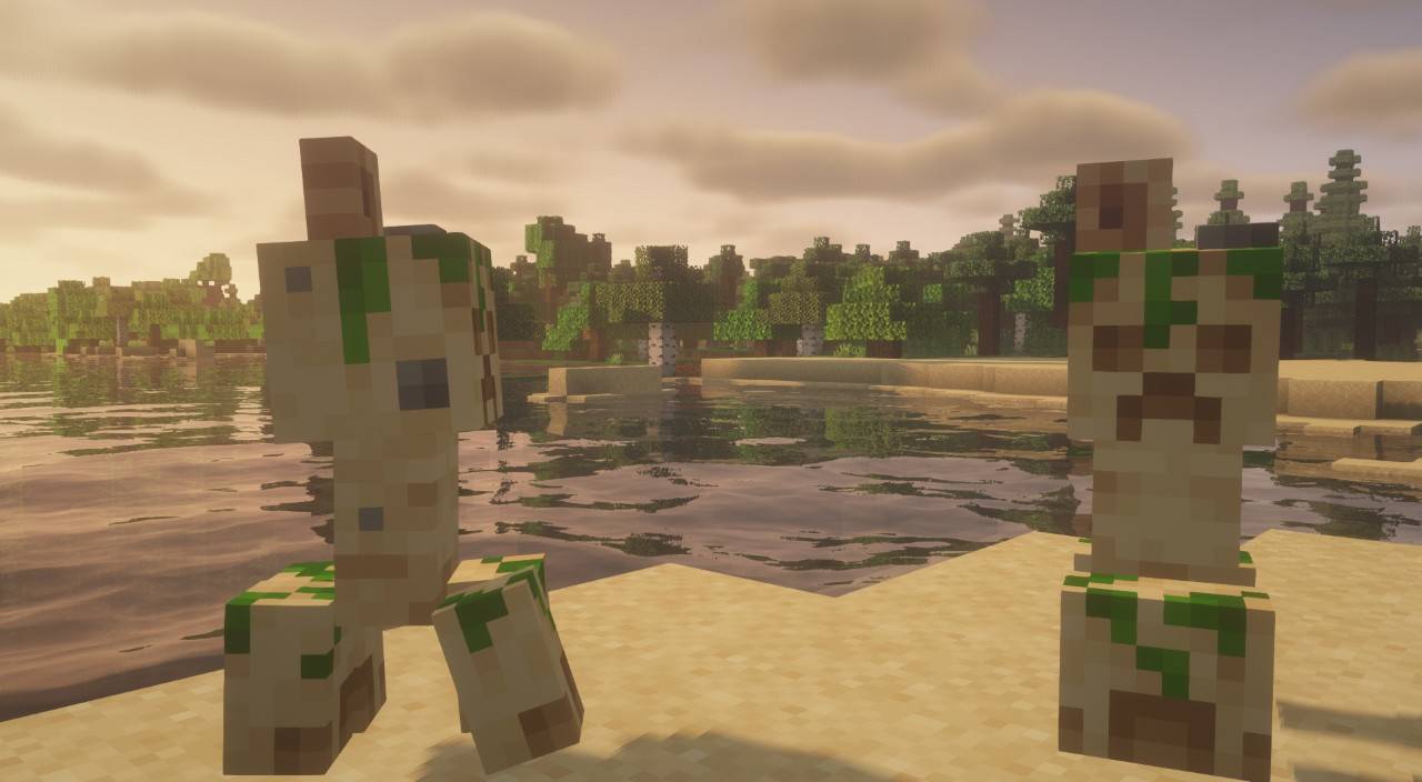 beach.jpg