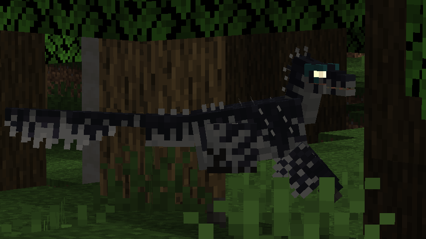 Latenivenatrix sighted in dark forest