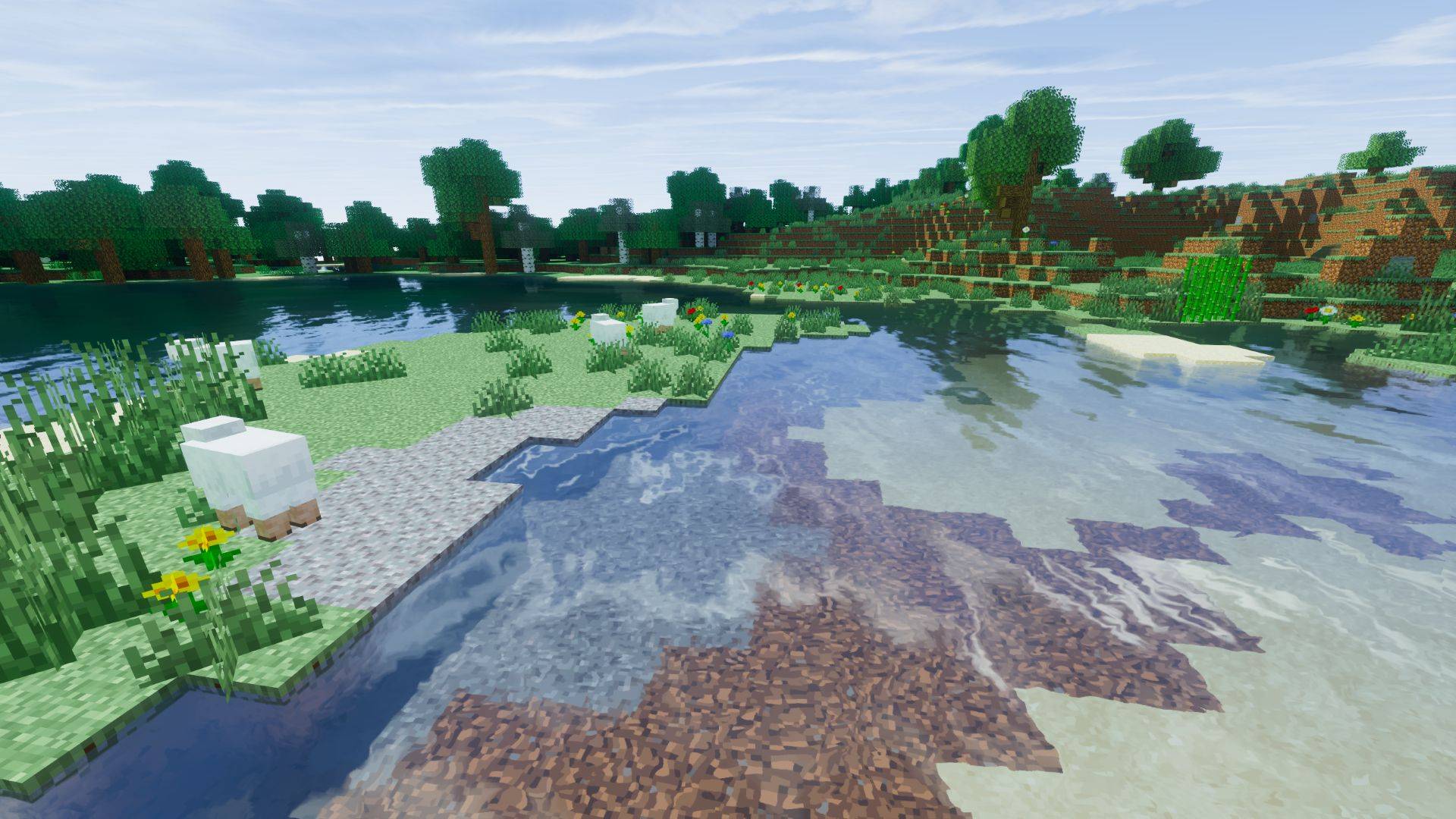 Thumbnail Oct-Path image sample