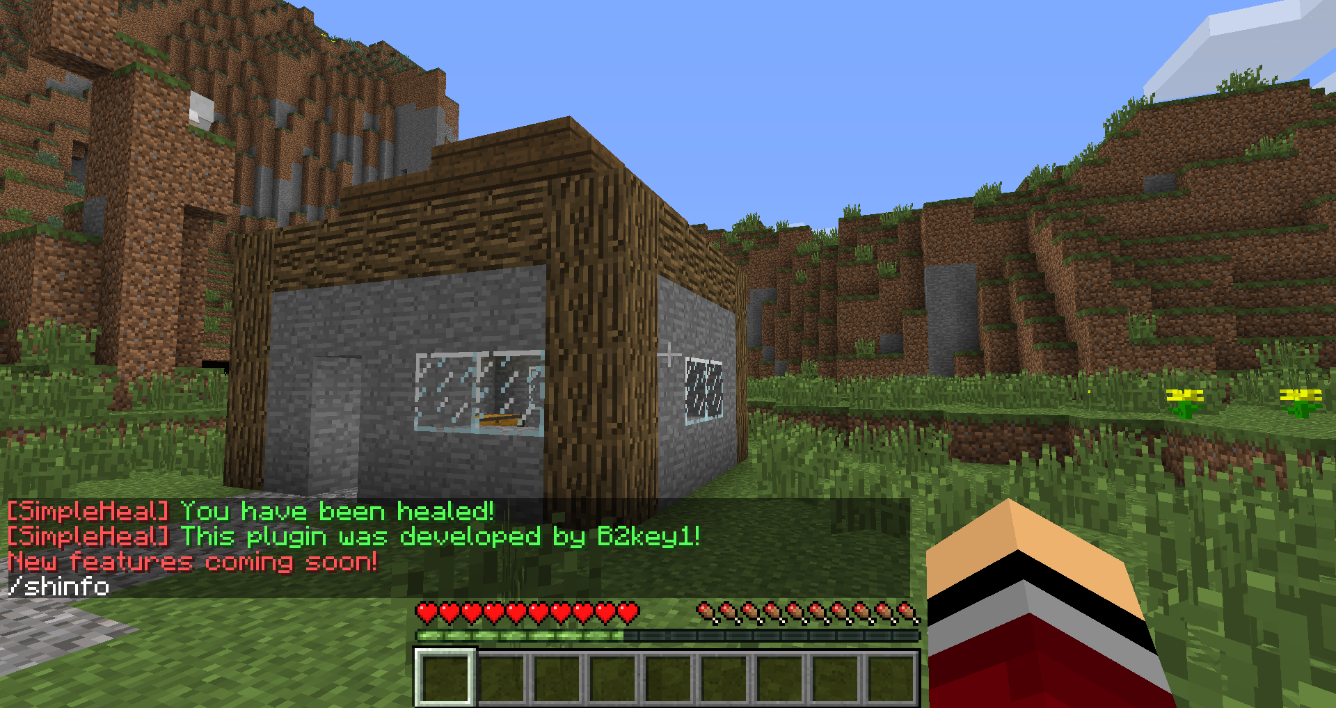 <p>SimpleHeal Commands</p>