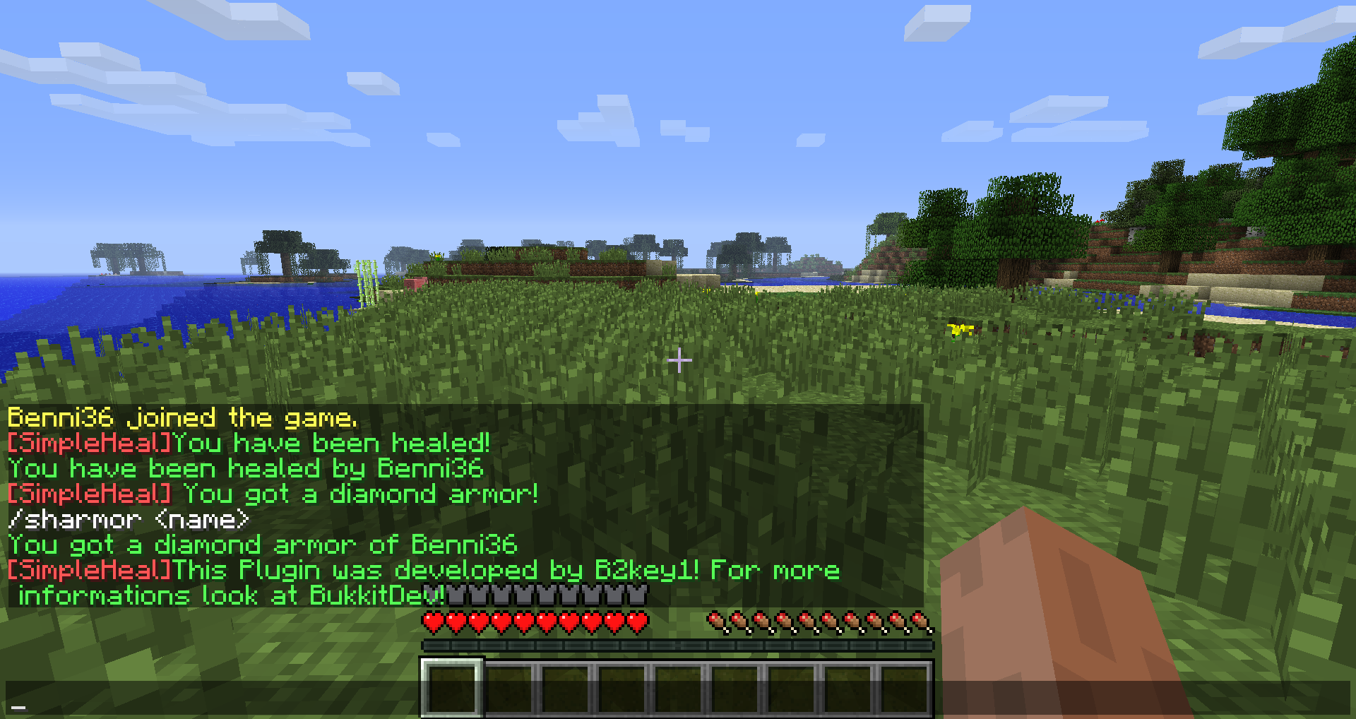 <p>Commands</p>