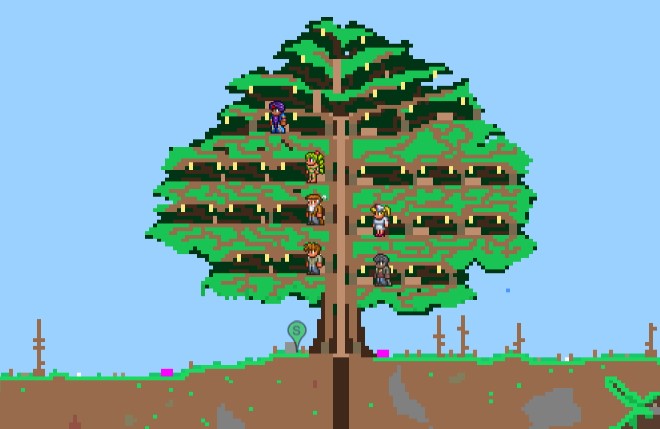 The Real Tree House