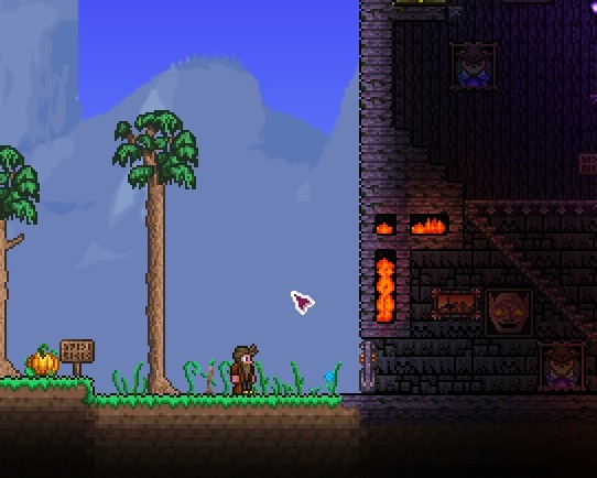 The Beginning 