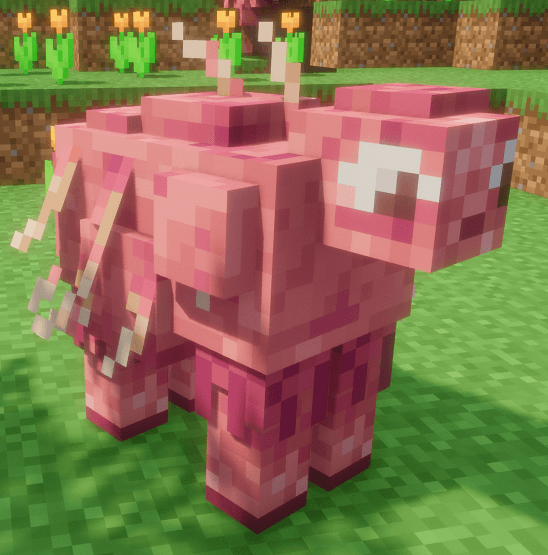 Thumbnail 2025-11-22_15h58_13.png