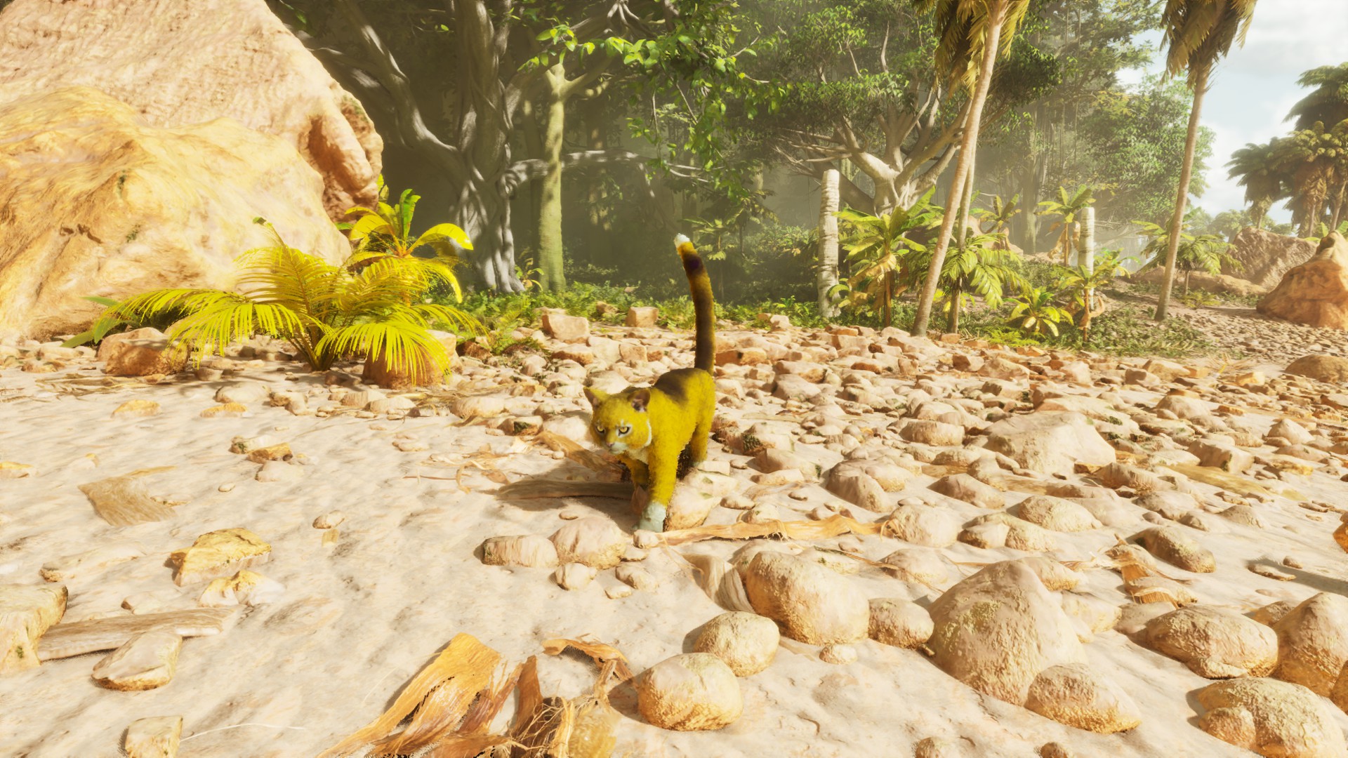 Play as any creature