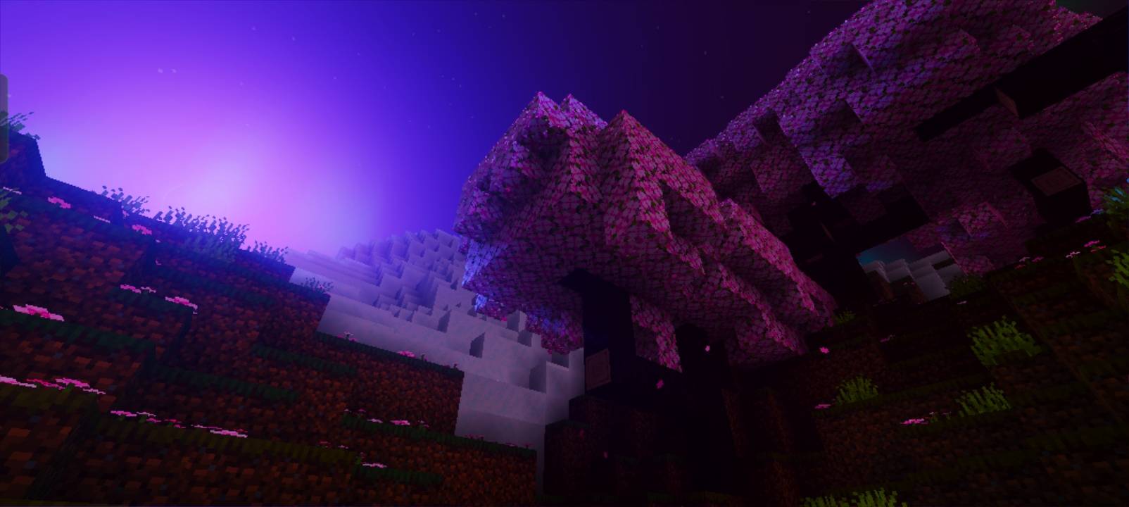Thumbnail The image shows the cherry biome area at night with VV mode