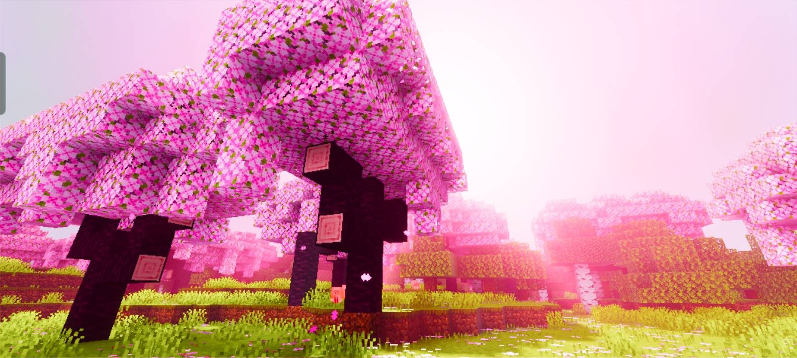 Thumbnail Cherry VV1