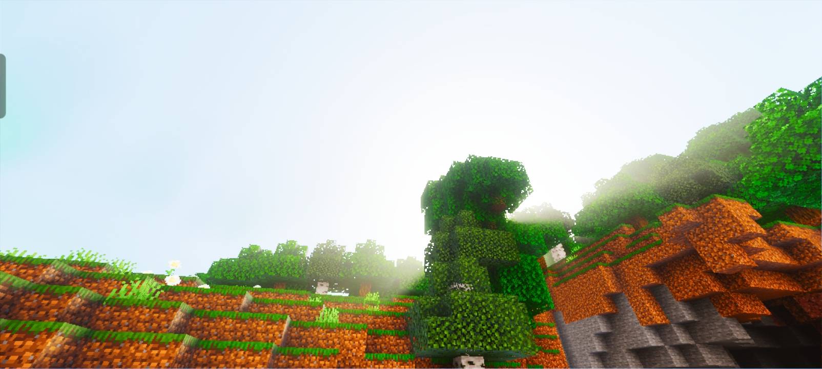 Thumbnail 1000362805.jpg