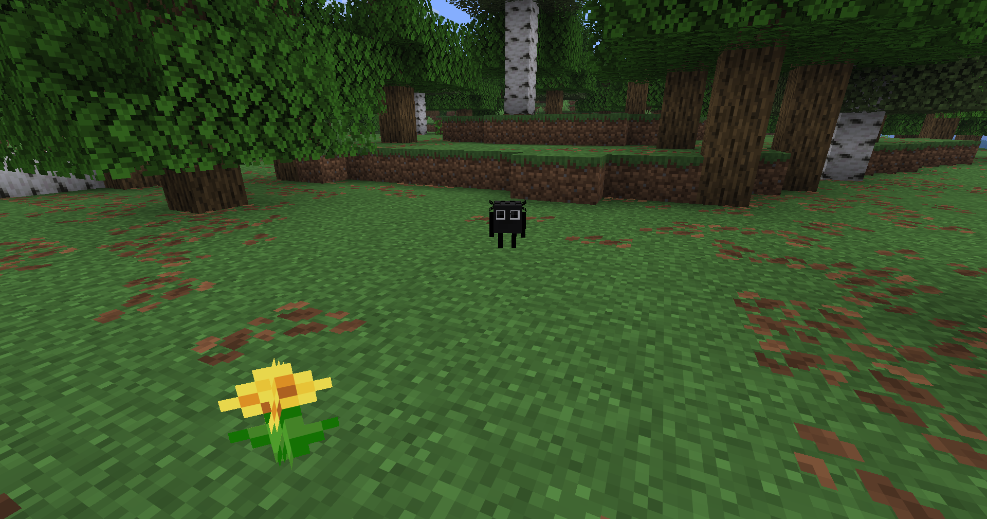 Она только появилась