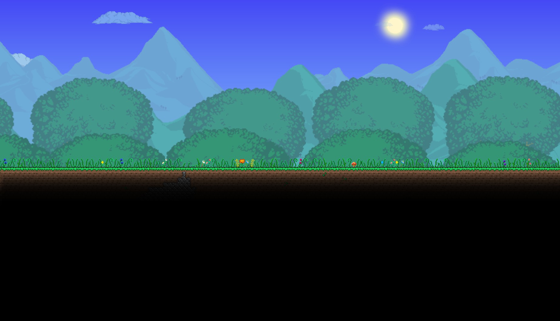 The Forest Biome