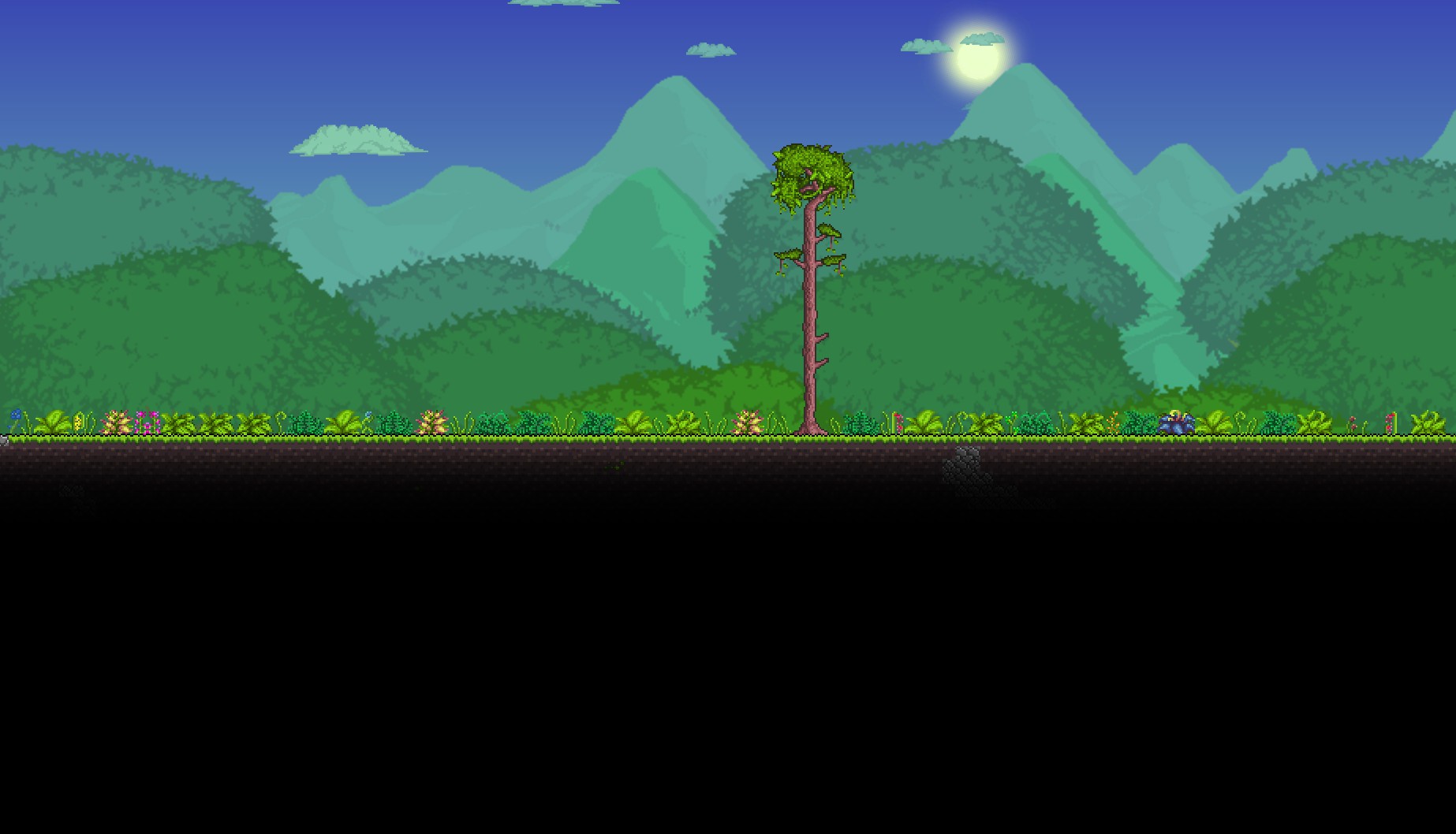 Project terraria. Биом лес террария. Terraria биом джунгли. Terraria Лесной биом. Террария джунгли задний фон.