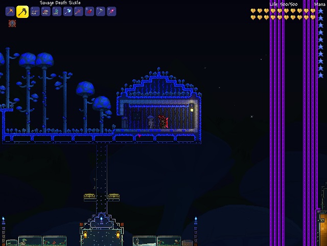 Shrooms
