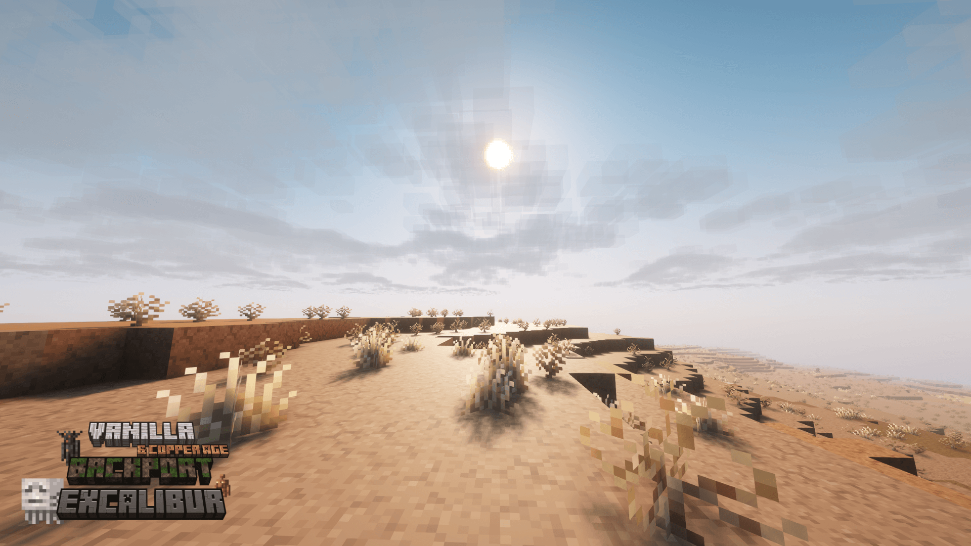 These pale bushes cling to life in the harshest of sands.