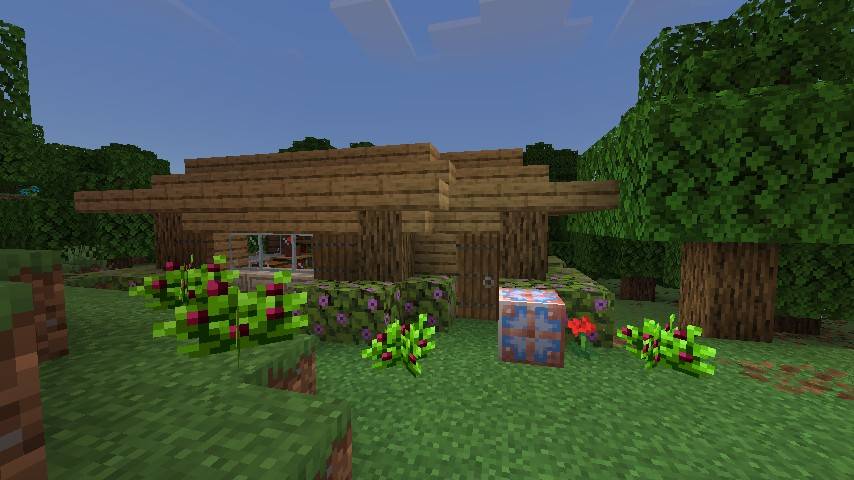 Thumbnail 1000158780.jpg