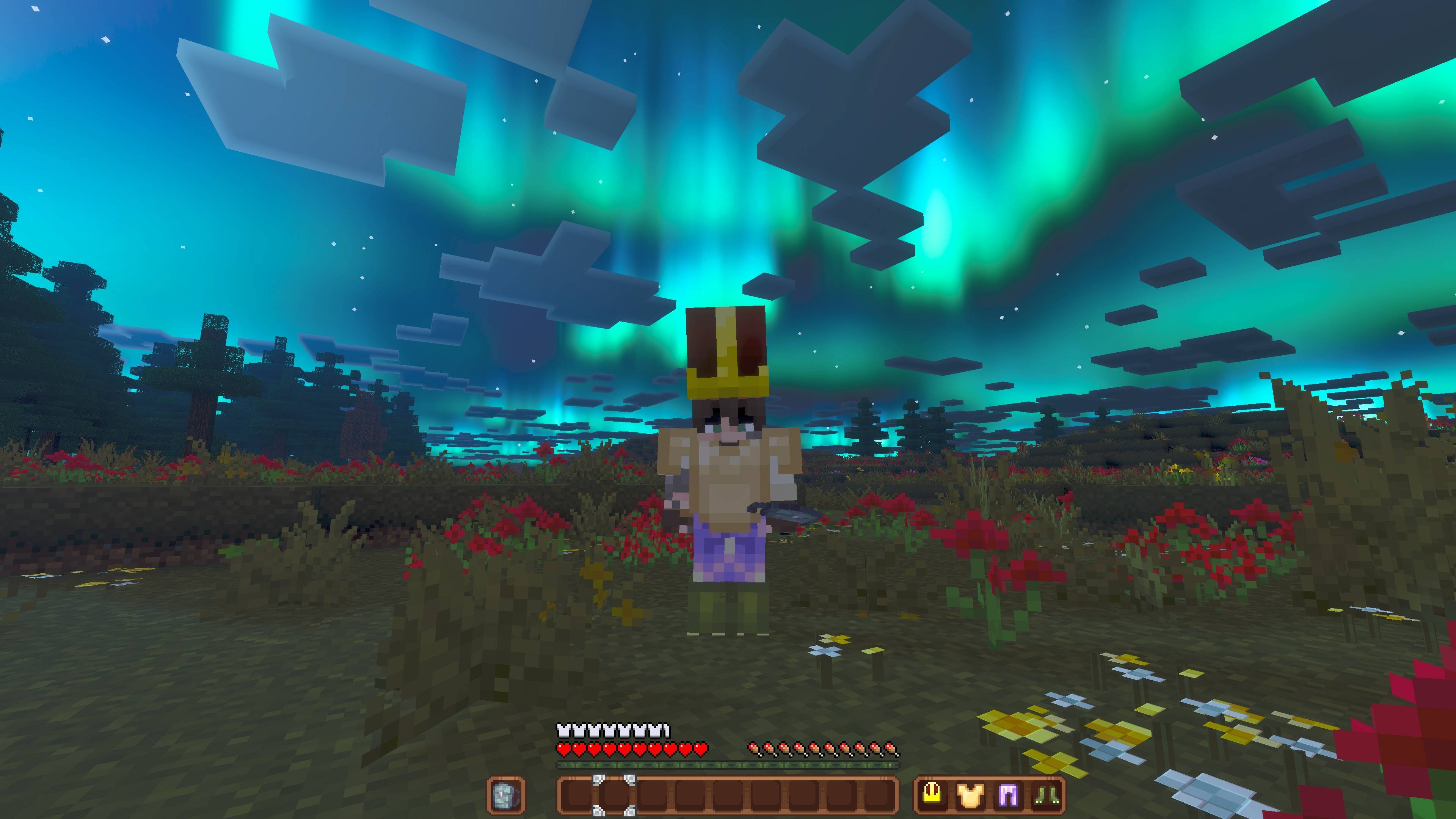 Thumbnail Minecraft Screenshot 2025.12.20 - 22.31.26.33_full.jpg