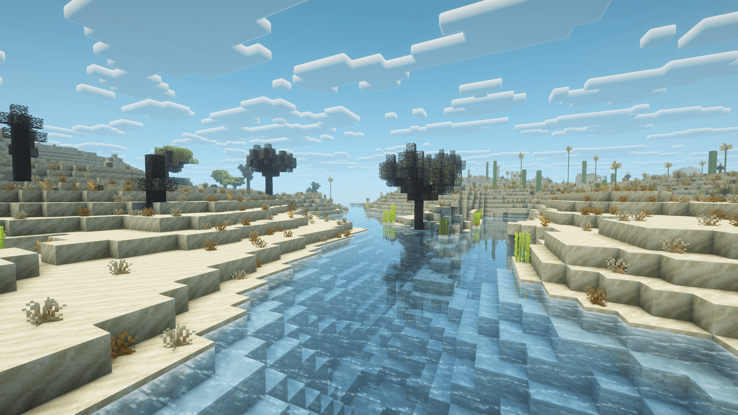 dunes 1-min.png