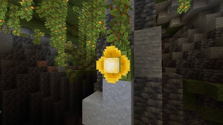 Thumbnail 1000161069.jpg