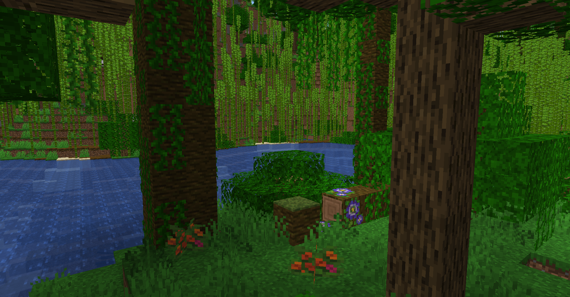 Jungle