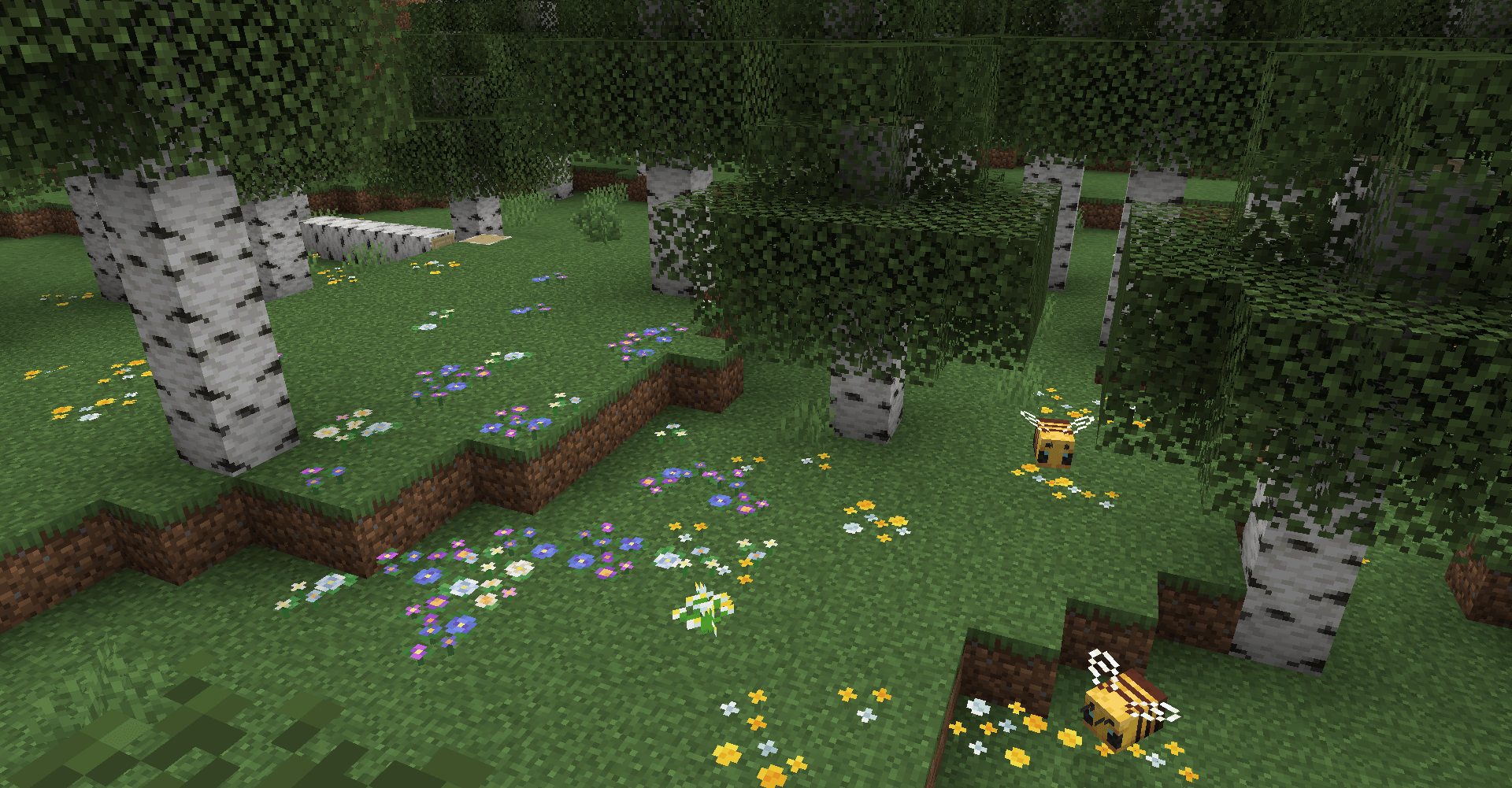 Birch Forest in 1.21.5+