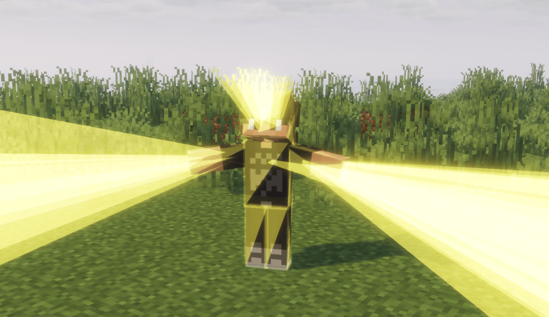 Doctor Regeneration.png