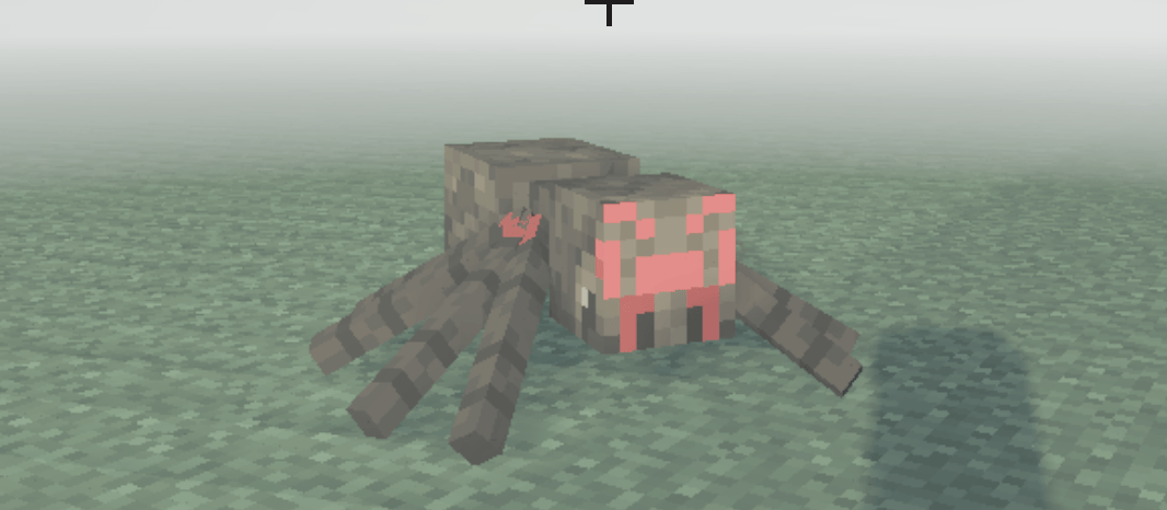 Spider Anomaly