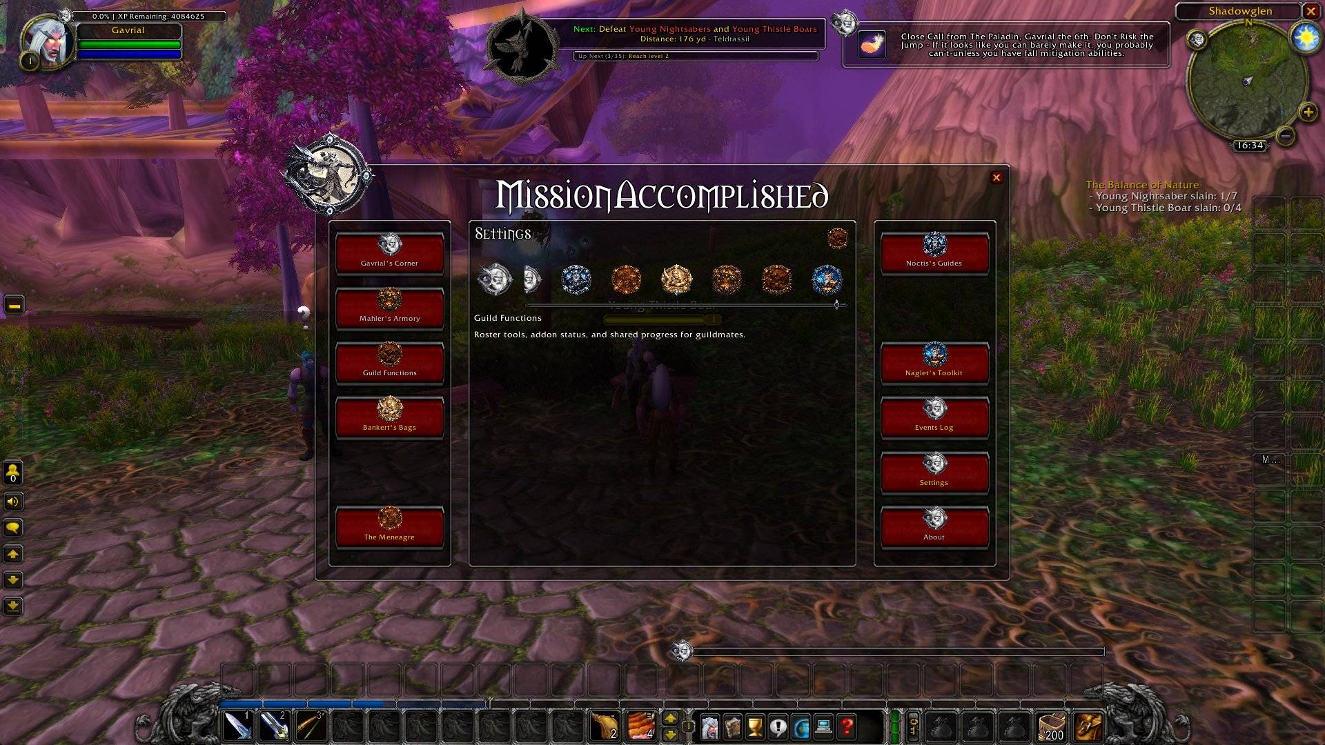 Guild 2.jpg