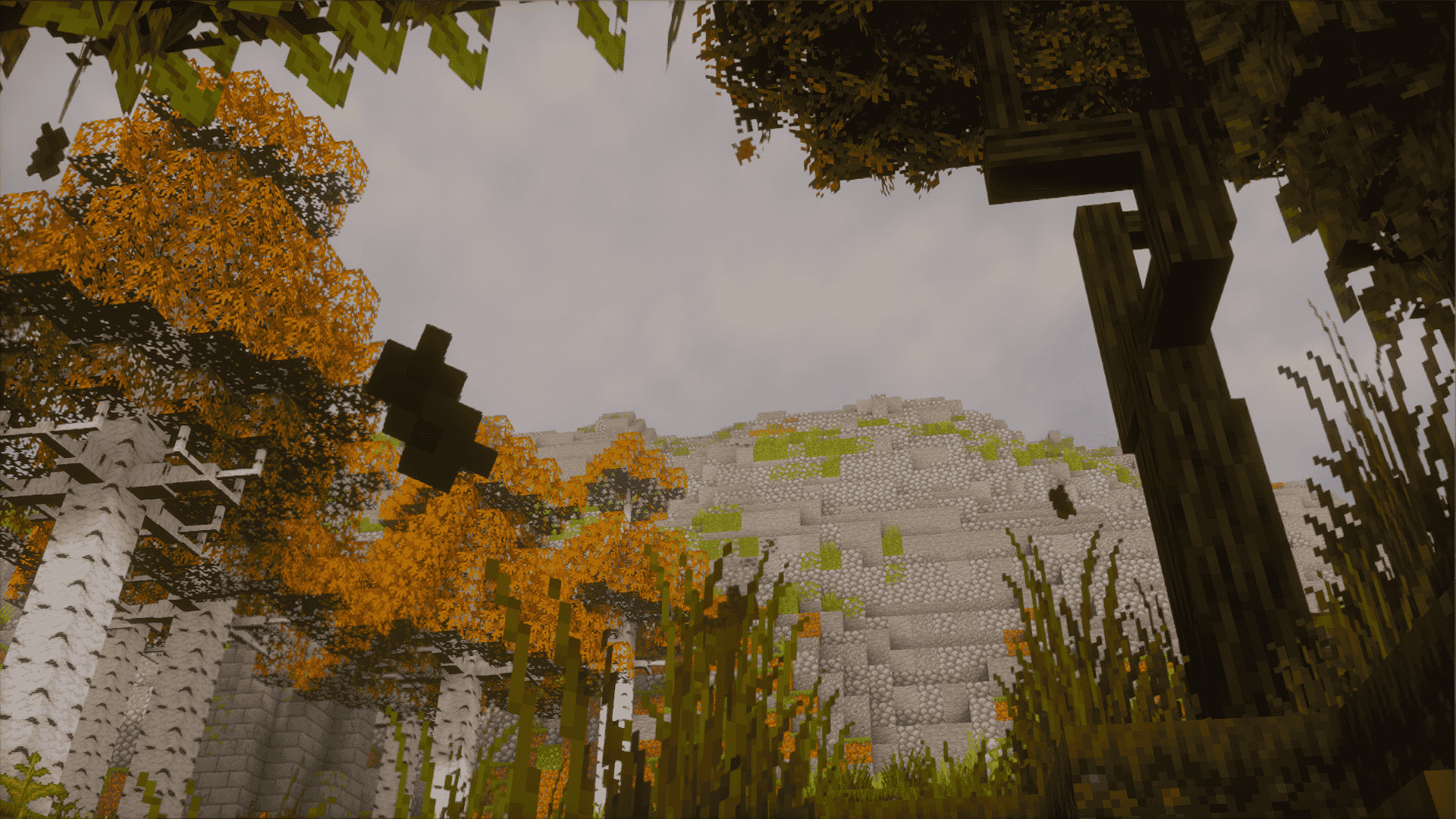 Thumbnail 2025-12-22_23.56.02.png